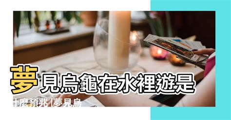 夢到ㄨ龜|夢到龜代表什麼